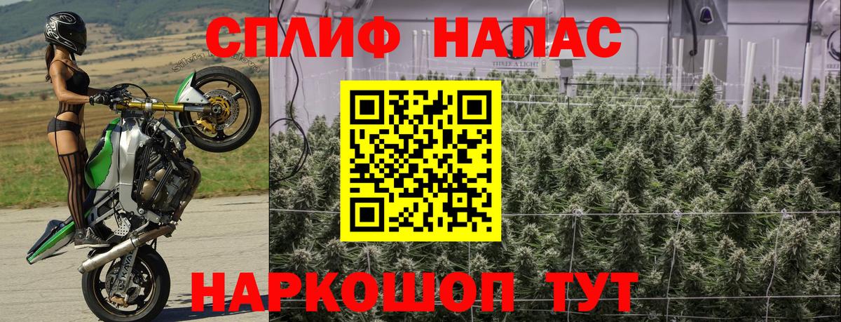 Марихуана гибрид Лесной
